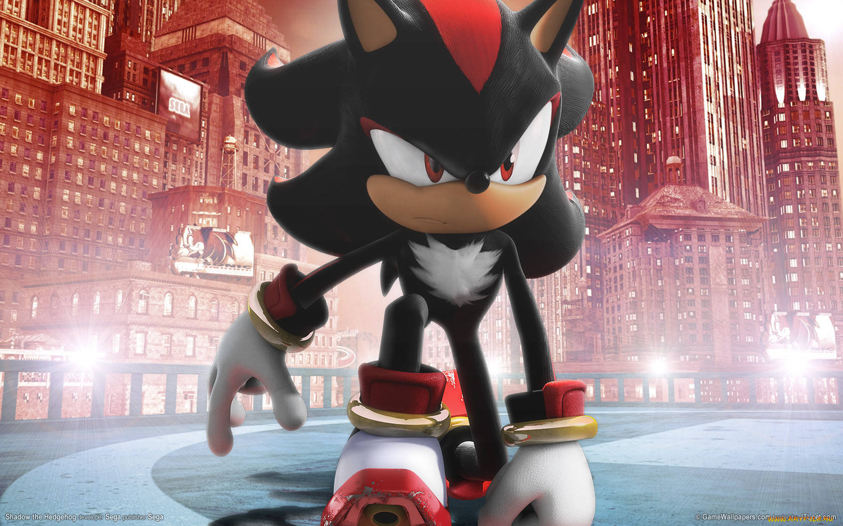 , , shadow, the, hedgehog